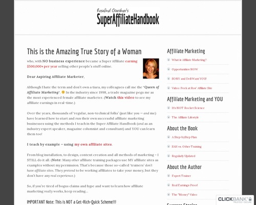 Enormous Affiliate: How I Made $436,797 in One 365 days